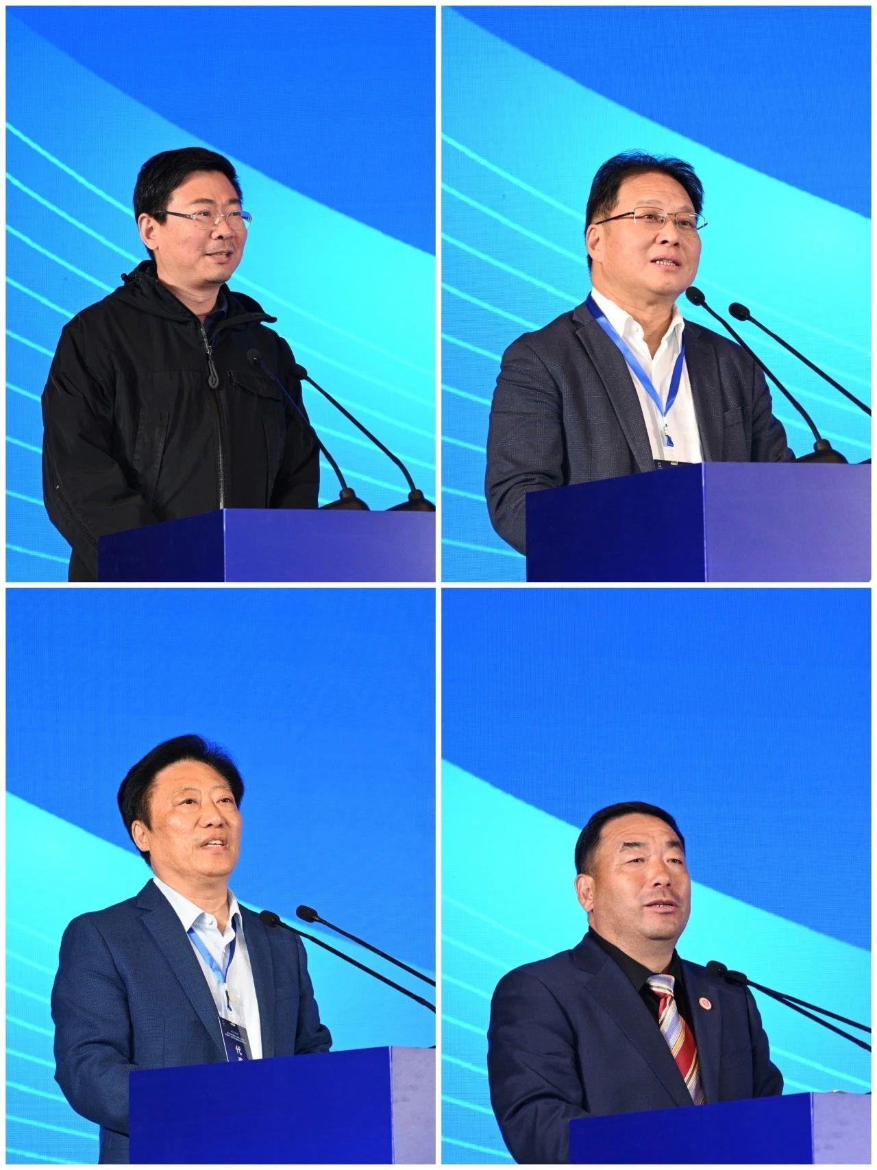 20250326-7.jpg