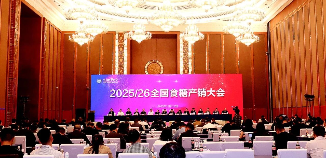 20251104.jpg 20251104.jpg